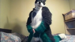 Fursuit sex 104