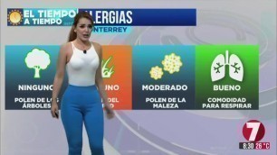 Vanessa Ibarra en sexy leggins y blusa transparente HD